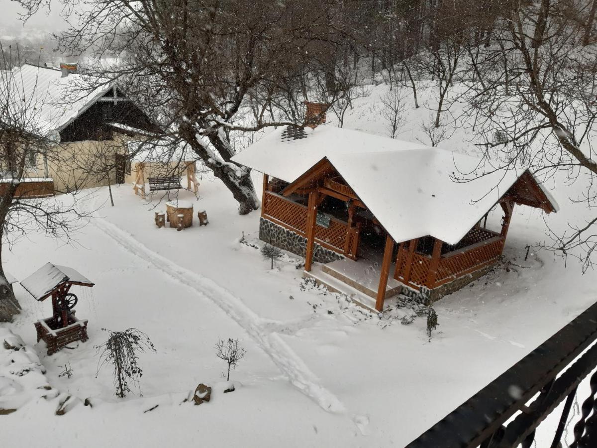 Villa Casa Dintre Pini Păltinoasa Exterior foto