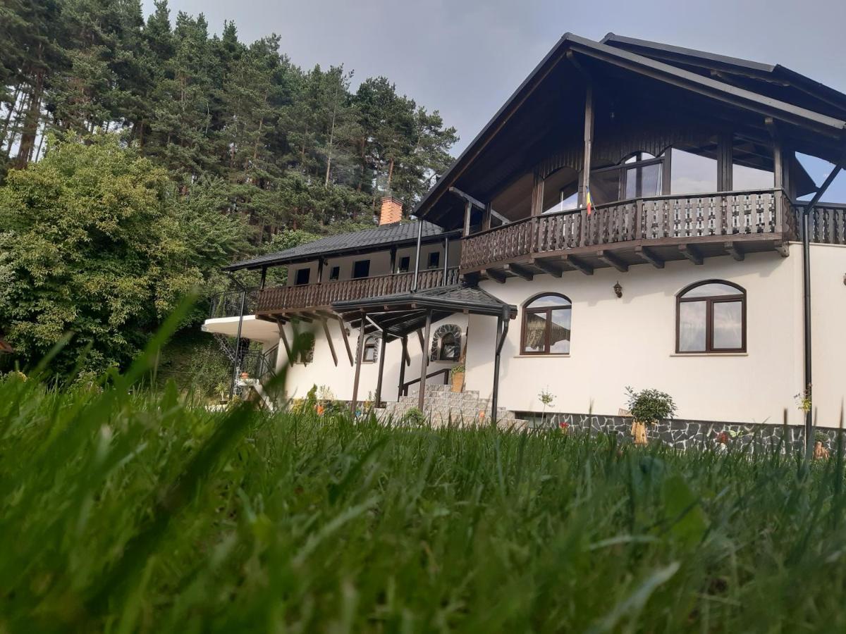 Villa Casa Dintre Pini Păltinoasa Exterior foto