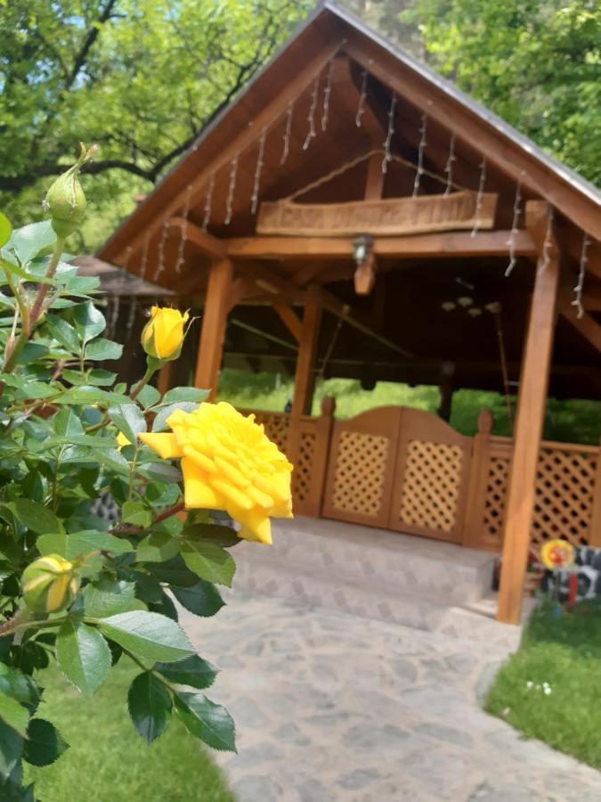 Villa Casa Dintre Pini Păltinoasa Exterior foto