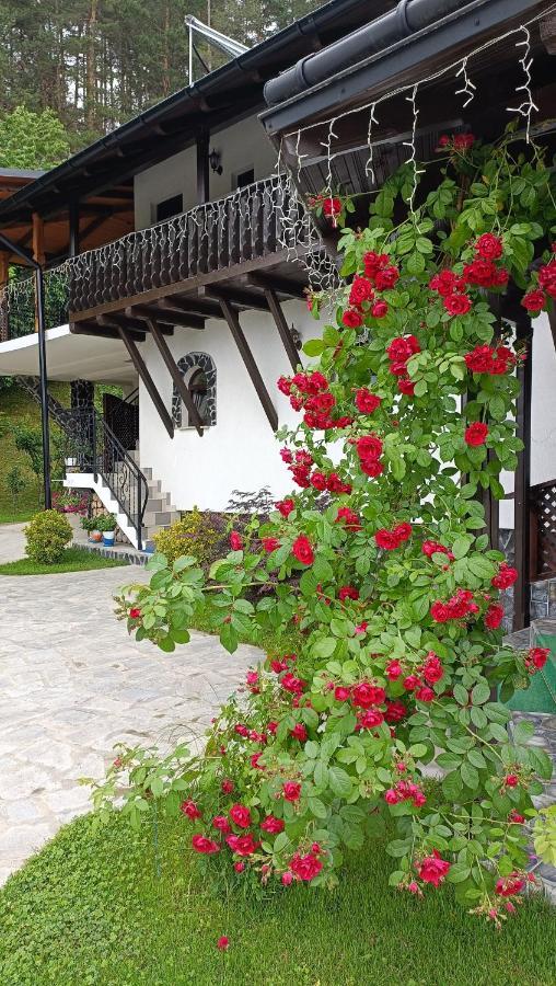 Villa Casa Dintre Pini Păltinoasa Exterior foto